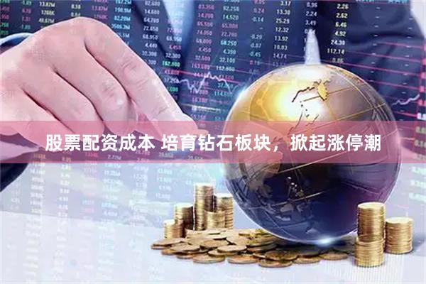 股票配資成本 培育鉆石板塊，掀起漲停潮